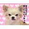 たっぴん>∀<｡)ﾉ[D:F8EE]"