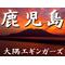 鹿児島大隅ｴｷﾞﾝｶﾞｰｽﾞ
