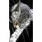 [D:F992]([D:F991]▽[D:F991] )[D:F992]