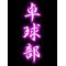 究極卓球[V:452F]