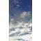 ＰＡＮＳ -希望の空-