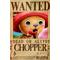 [D:F8EE]ONE PIECE[D:F8EE]