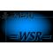 ＝ＷＳＲ＝