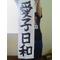 [A:F37E]aiko[A:F7BC]日和[A:F37E]