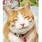 [V:4F48]あい[V:5039]み～る[V:4F48]